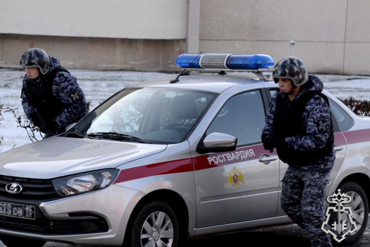Более 6 тысяч административных правонарушений выявили наряды Росгвардии в Зауралье