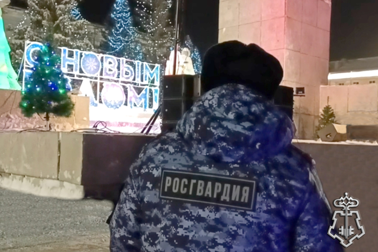 В новогодние праздники сотрудники Росгвардии пресекли более ста правонарушений в Зауралье