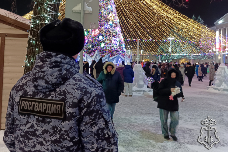 В новогоднюю ночь безопасность и правопорядок в Зауралье обеспечила Росгвардия (видео)