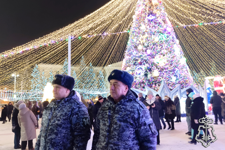 В новогоднюю ночь безопасность и правопорядок в Зауралье обеспечила Росгвардия (видео)