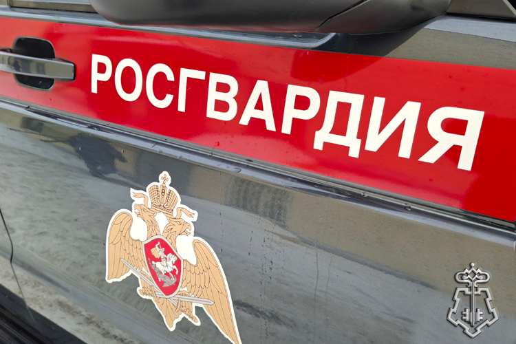 Экипажи Росгвардии в Зауралье совершили свыше тысячи выездов по сигналу «тревога»