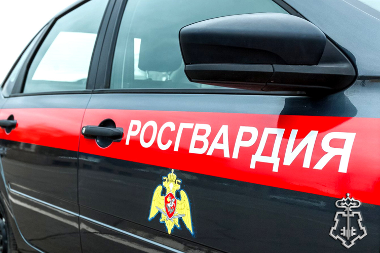 В Зауралье сотрудники Росгвардии приняли участие в раскрытии более 60 преступлений