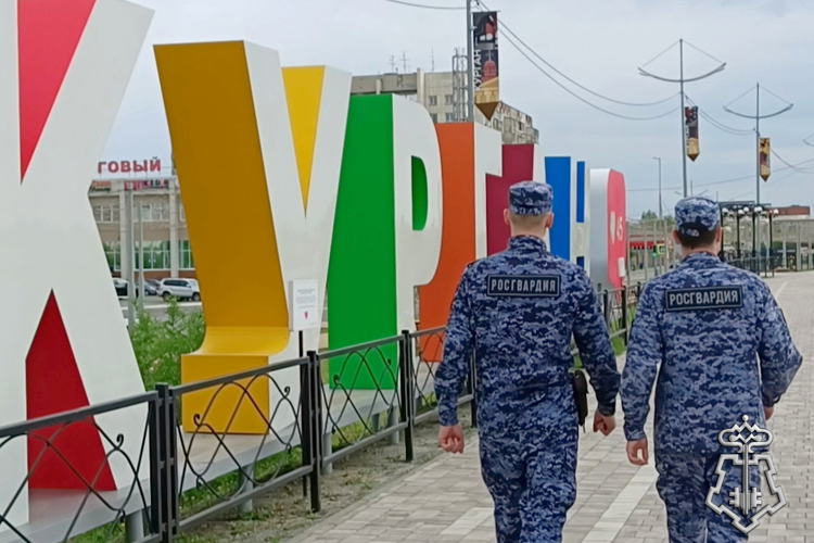 Сотрудники Росгвардии пресекли в Зауралье порядка 3 тысяч административных правонарушений