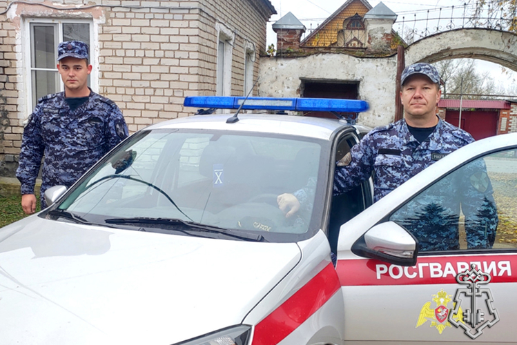 В Зауралье сотрудники Росгвардии помогли спасти водителя из тонувшего в реке автомобиля после ДТП (видео)