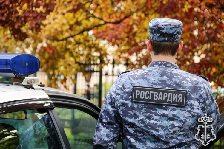 В Зауралье росгвардейцы задержали вооруженного ножом злоумышленника